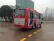 Ônibus duráveis do curso de Red Star com o ônibus pequeno do passageiro da capacidade de 31 assentos para a empresa fornecedor