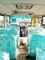 Projeto aerodinamizado relativo à promoção do ônibus escolar especial clássico do minibus da pousa-copos fornecedor